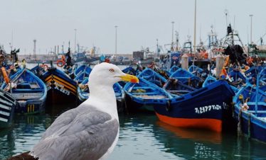 Essaouira Day trip